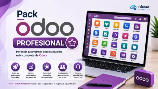 Pack Odoo Profesional 140 € 